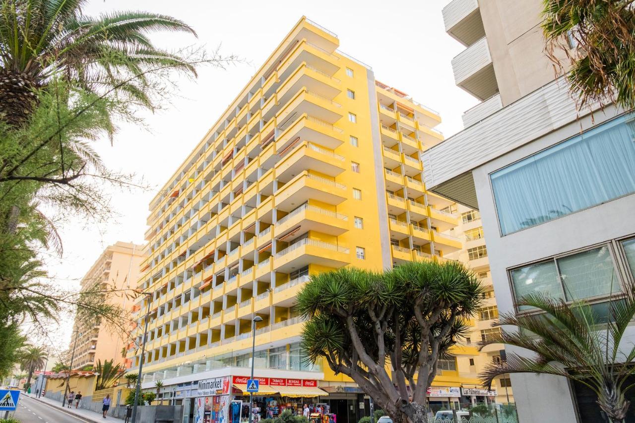Live Puerto De La Cruz Las Palmeras Dış mekan fotoğraf