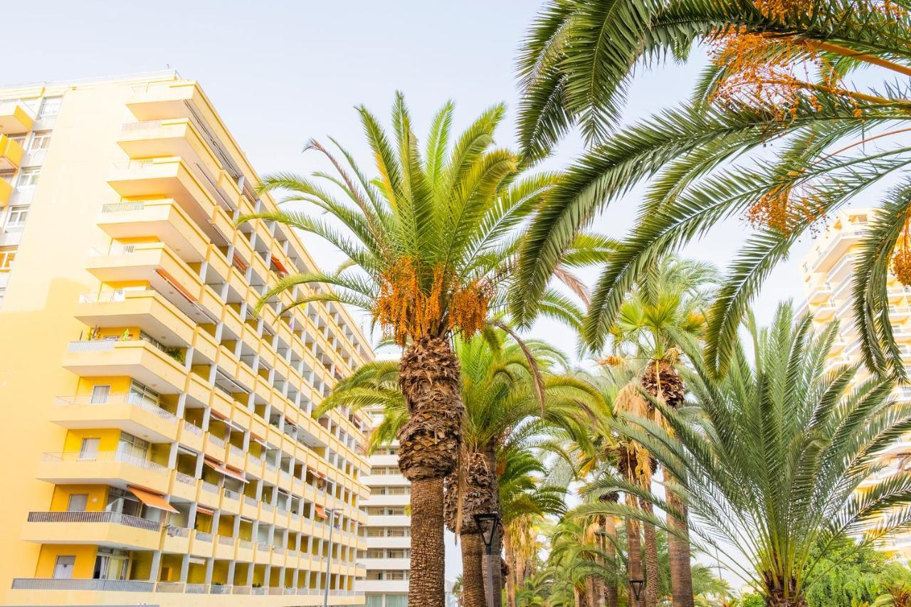 Live Puerto De La Cruz Las Palmeras Dış mekan fotoğraf